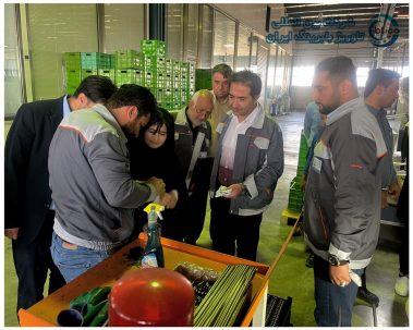 دیدار خانم دکتر پاشایی